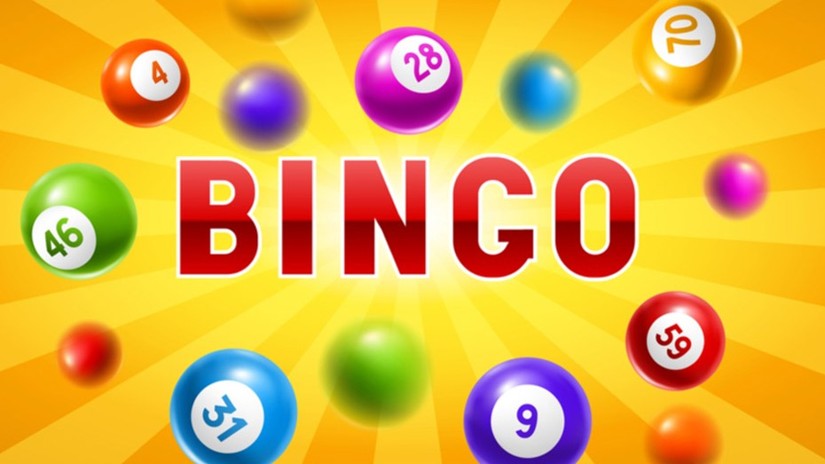 What is Bingo?