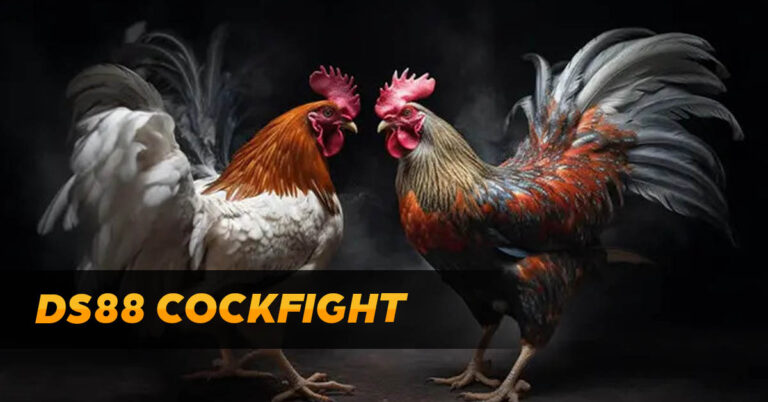 DS88 cockfighting at MNL777 Casino